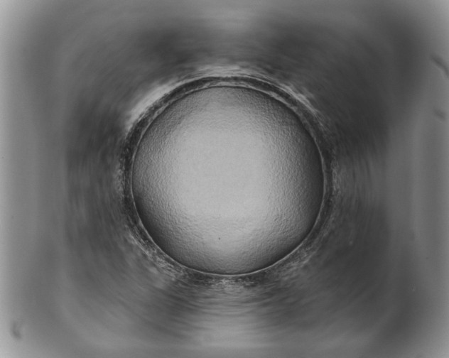 X0000100781311200807101806