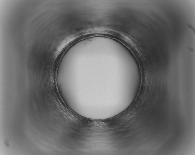 X0000100781312200807101806