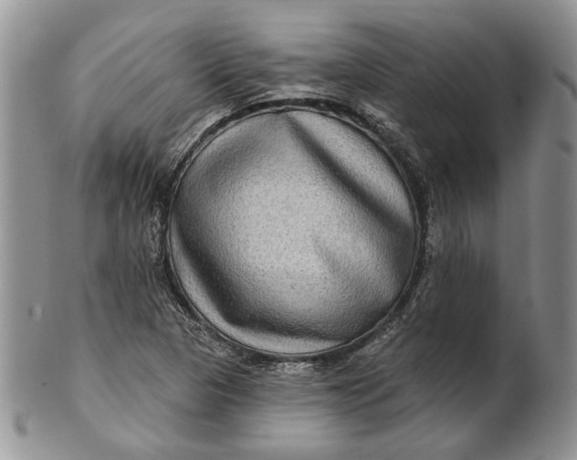 X0000100781313200807101806