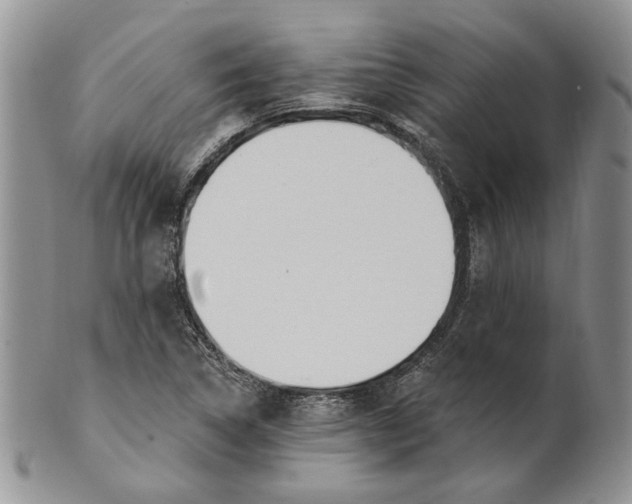 X0000100781314200807101806