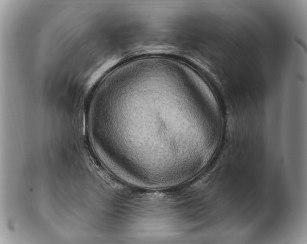 X0000100781317200807101806