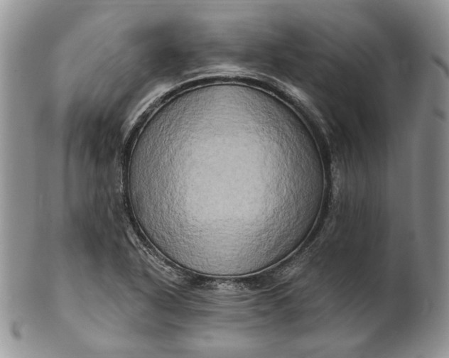 X0000100781318200807101806