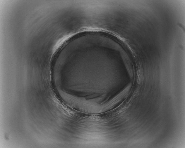 X0000100781319200807101806