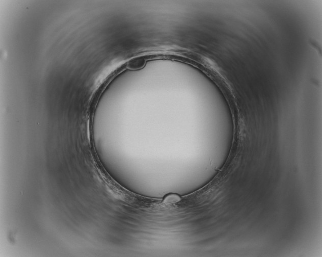 X0000100781320200807101806