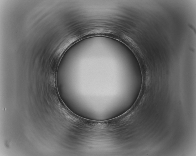 X0000100781321200807101806