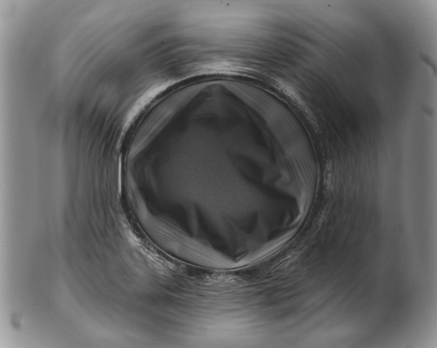 X0000100781323200807101806