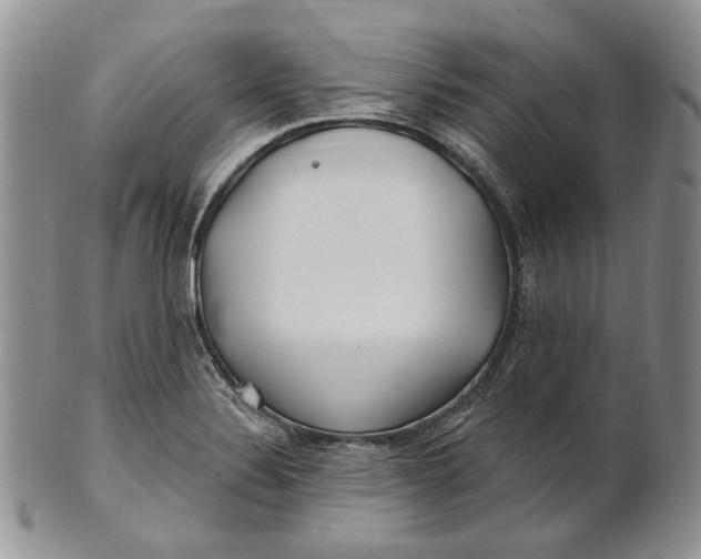 X0000100781324200807101806