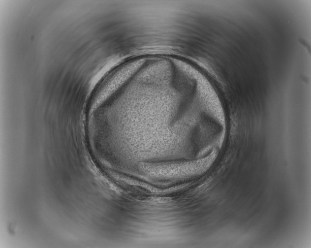 X0000100781325200807101806