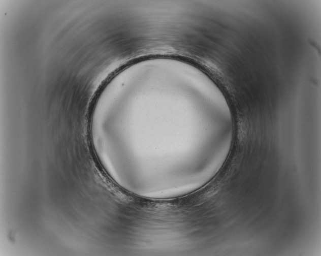 X0000100781326200807101806