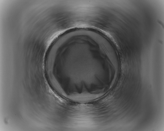 X0000100781327200807101806