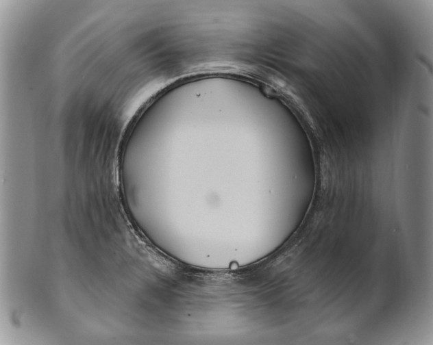 X0000100781328200807101806