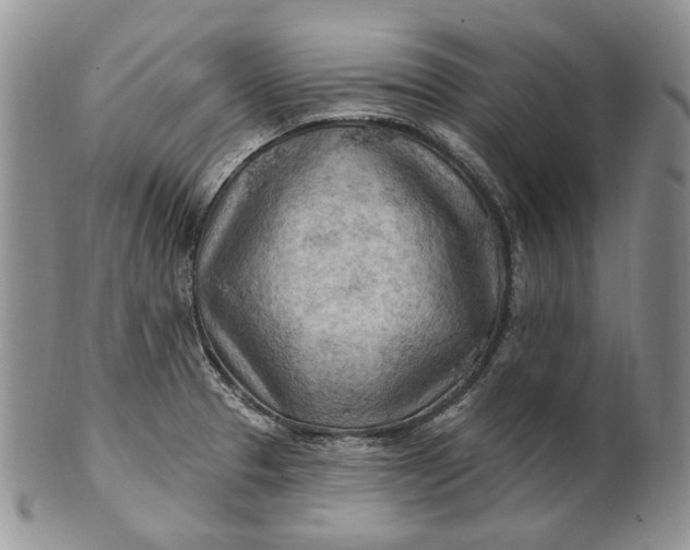 X0000100781329200807101806