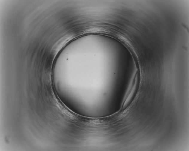 X0000100781330200807101806