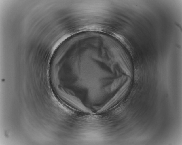 X0000100781331200807101806