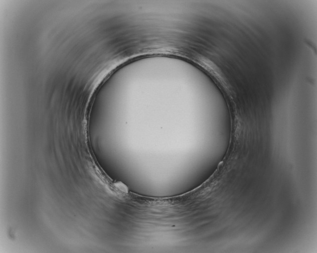 X0000100781332200807101807