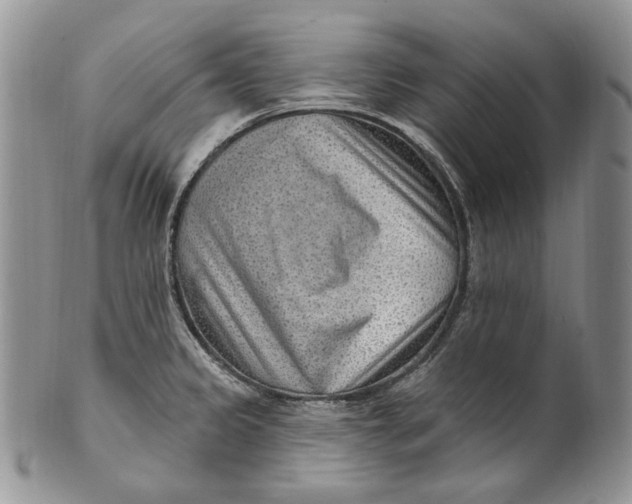 X0000100781333200807101807