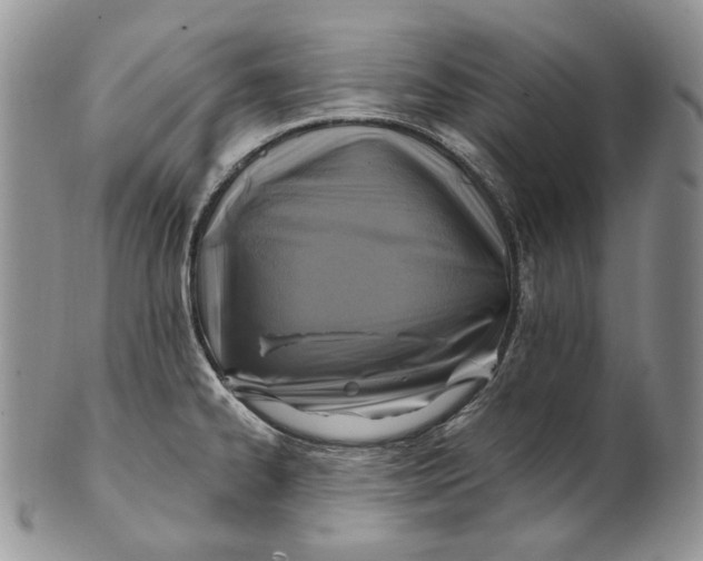 X0000100781334200807101807