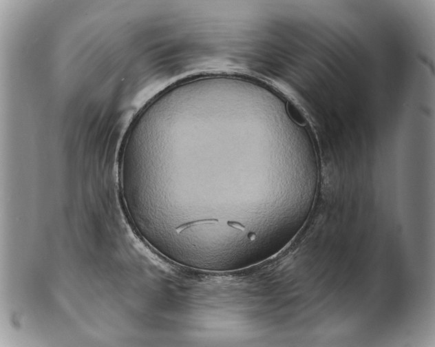 X0000100781335200807101807