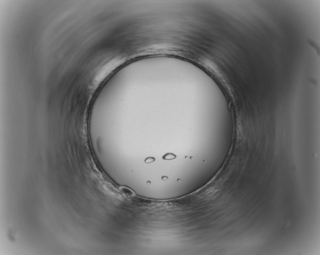 X0000100781336200807101807