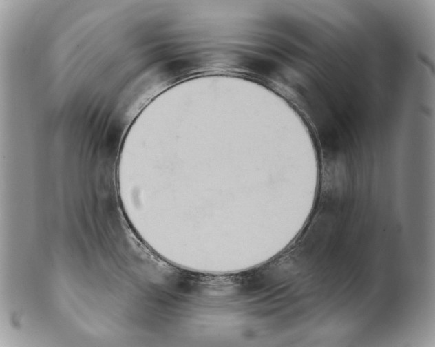 X0000100781338200807101807