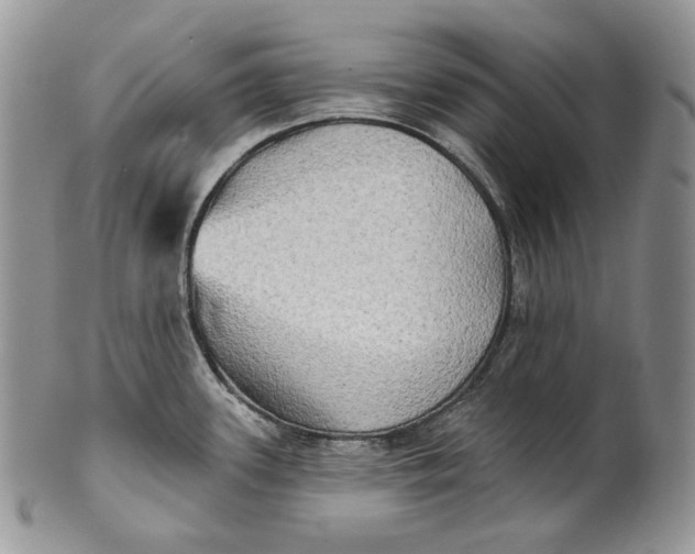 X0000100781339200807101807