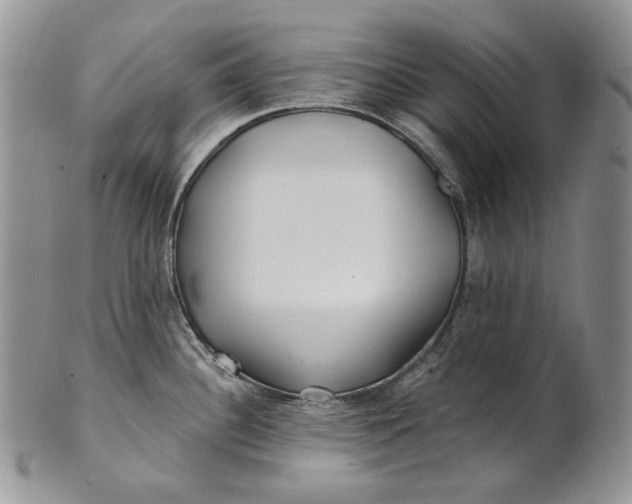 X0000100781340200807101807