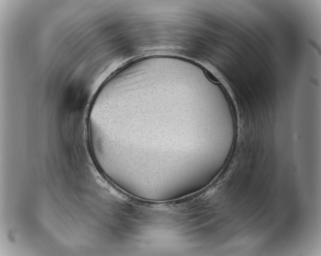 X0000100781341200807101807