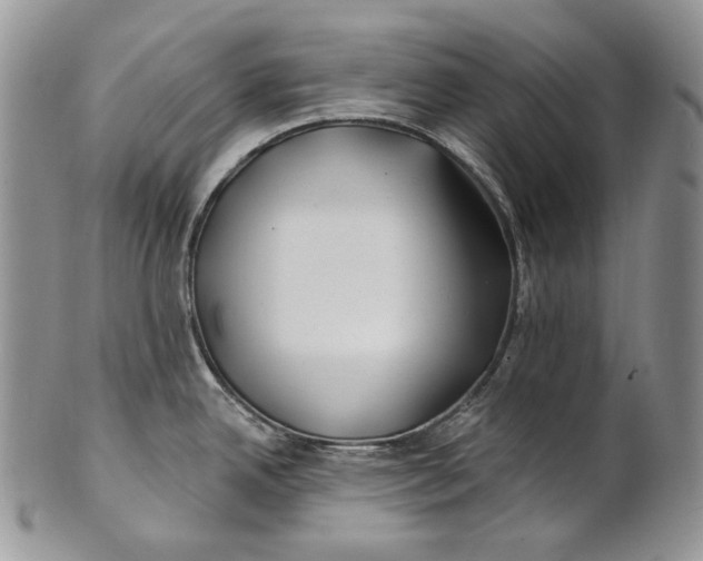 X0000100781342200807101807