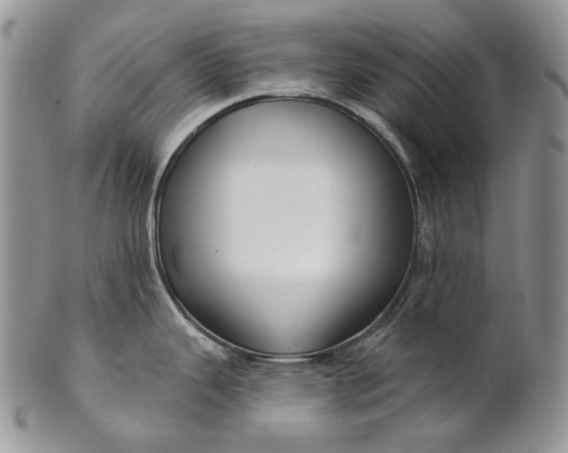 X0000100781343200807101807