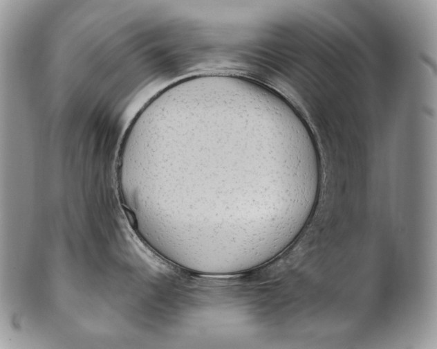 X0000100781344200807101807