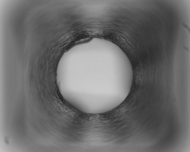 X0000100781345200807101806