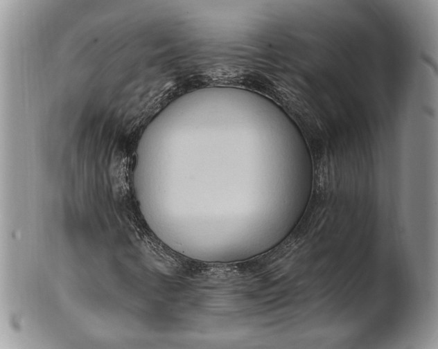 X0000100781346200807101806