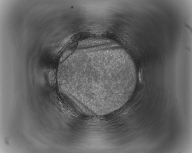 X0000100781347200807101806