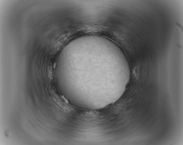 X0000100781348200807101806