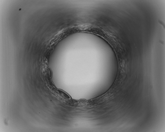 X0000100781349200807101806