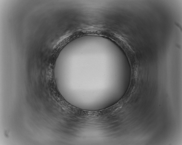 X0000100781350200807101806