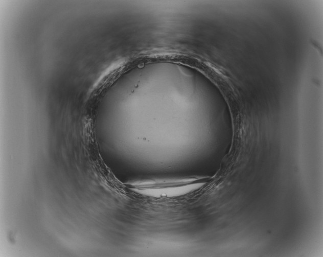 X0000100781351200807101806