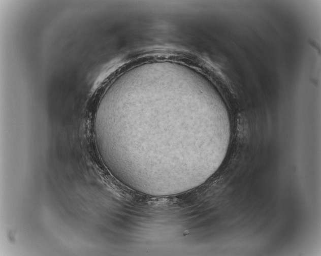 X0000100781352200807101806