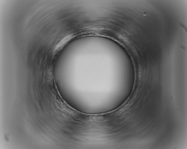 X0000100781354200807101806