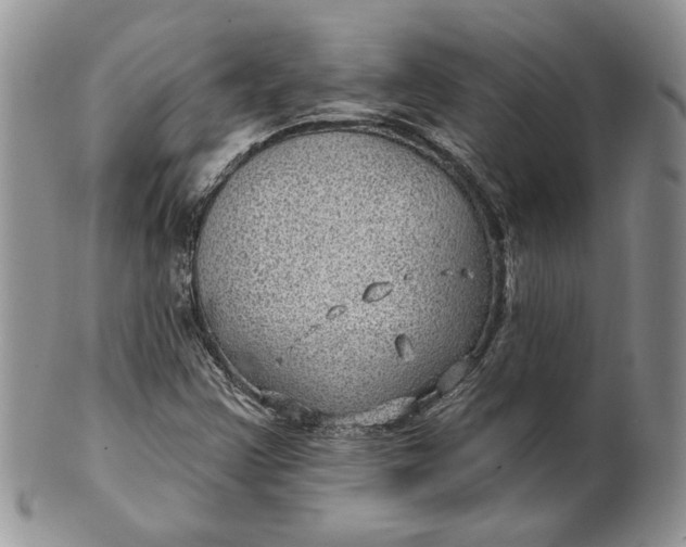 X0000100781355200807101806