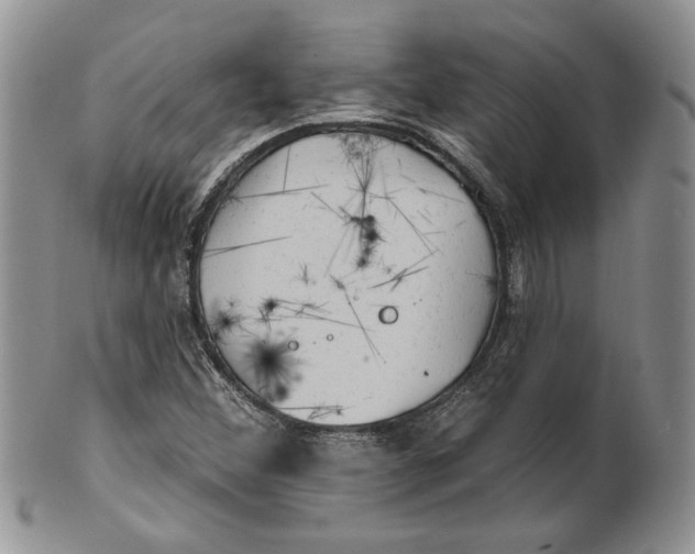 X0000100781356200807101806