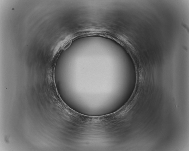 X0000100781357200807101806