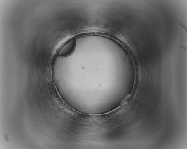 X0000100781358200807101806