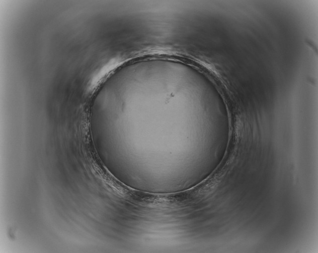 X0000100781359200807101806