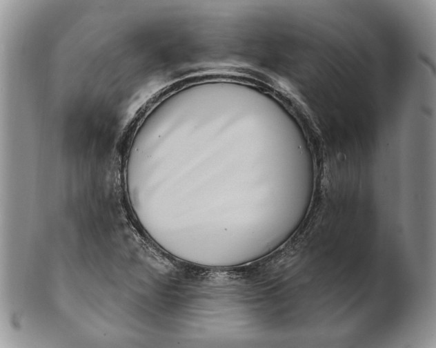 X0000100781360200807101806