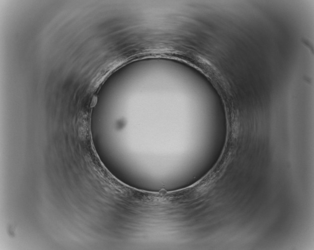 X0000100781361200807101806