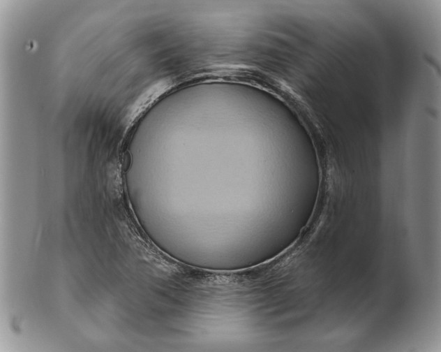 X0000100781362200807101806