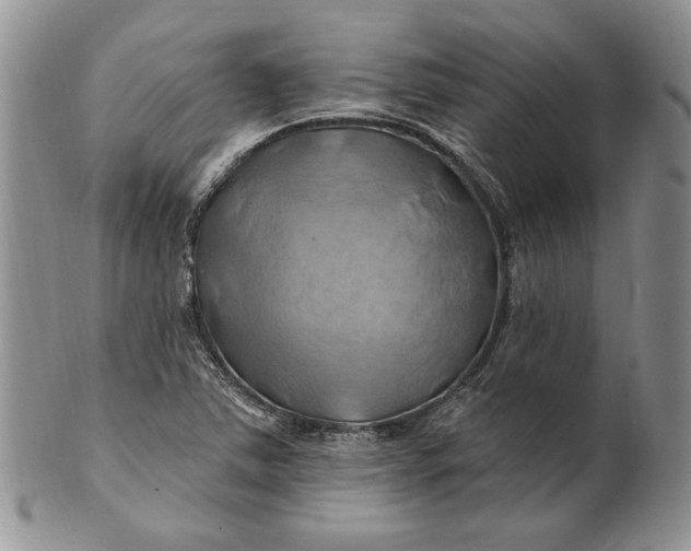 X0000100781363200807101806