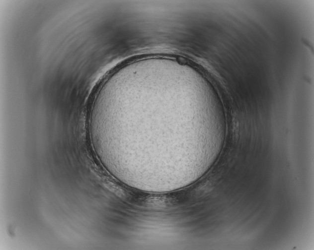 X0000100781364200807101806