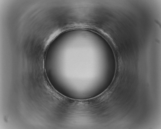 X0000100781365200807101806